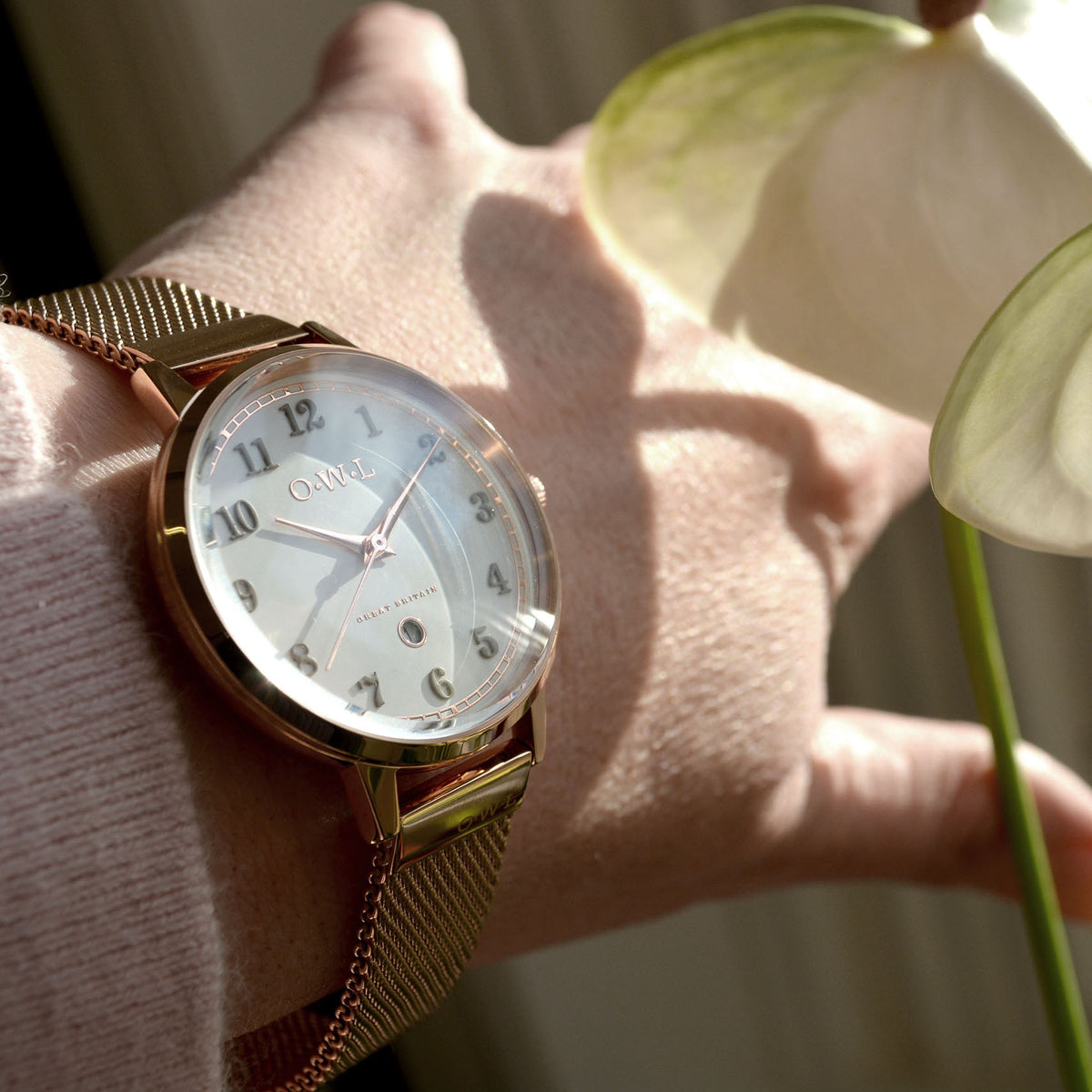 Big owl watch company 2025